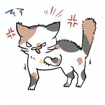 威嚇する三毛猫 三毛猫,威嚇,怒る,攻撃,爪,不安,イライラ,不愉快,ムカムカ,ストレスのイラスト素材