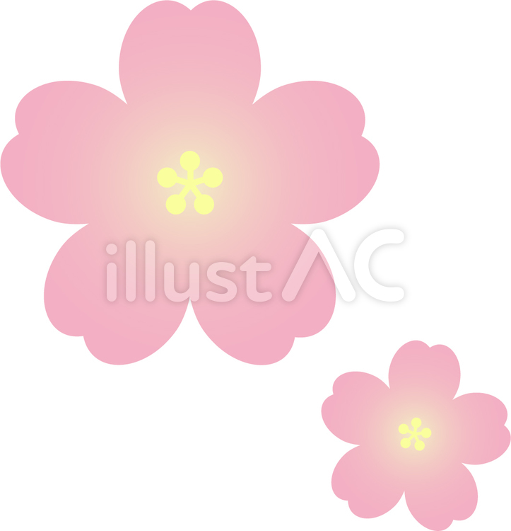 桜　花びら　花弁　春 桜,花びら,春のイラスト素材