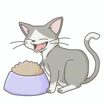 ごはんを食べる猫 猫,ハチワレ,キャットフード,動物病院,ごはんのイラスト素材