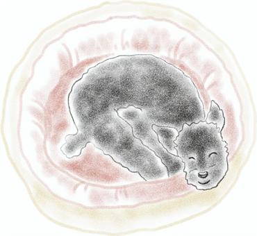 玩具貴賓犬, 动物, 狗, 小型犬, JPG, PNG 和 AI