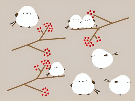 もっちりシマエナガ シマエナガ,南天,鳥,しまえなが,小鳥,北海道,小動物,赤い実,白い鳥,冬のイラスト素材