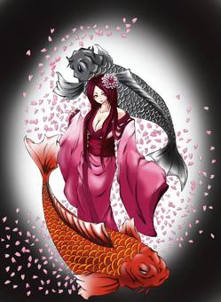 桜と鯉 美しい,可愛い,カワイイ,かわいい,綺麗,かっこいい,格好いい,生きもの,生き物,お洒落のイラスト素材