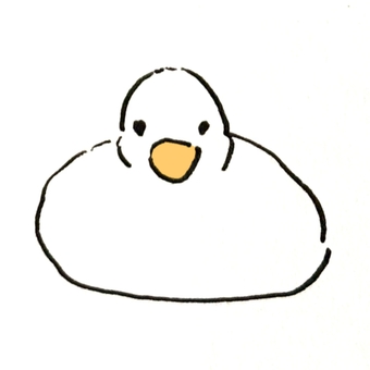 手描き白いアヒル（正面） アヒル,動物,鳥,ガチョウ,白いアヒル,birdのイラスト素材