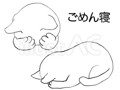ねこ ごめん寝 03 白猫