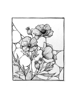 植物３ 自然,植物,花,モノクロ,手描きのイラスト素材