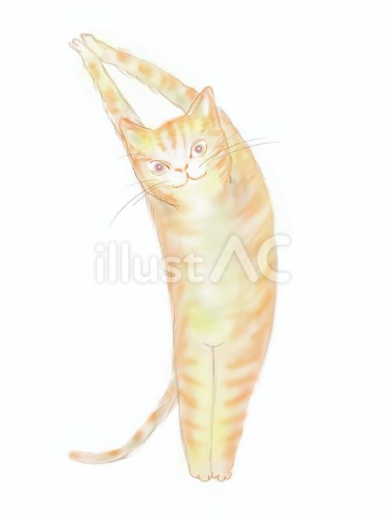 ヨガ猫　月のポーズ ヨガ,猫,動物のイラスト素材