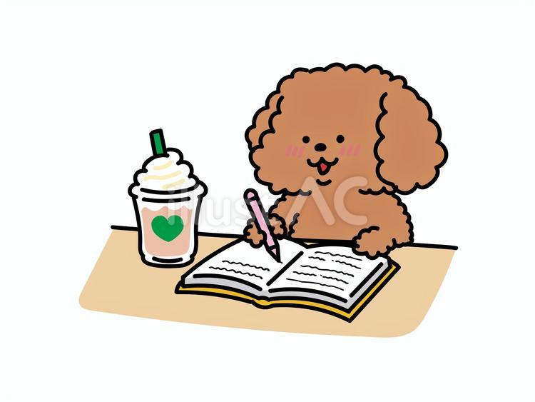 カフェで勉強するトイプーちゃん トイプードル,カフェ,勉強のイラスト素材