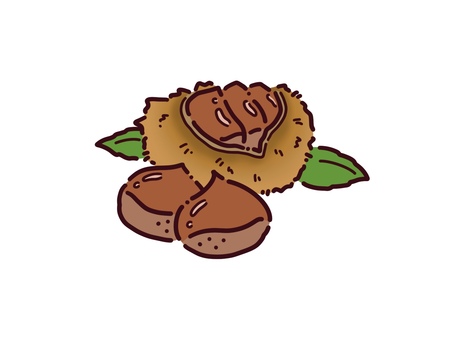 秋の果物　栗　カラー 秋,果物,栗のイラスト素材