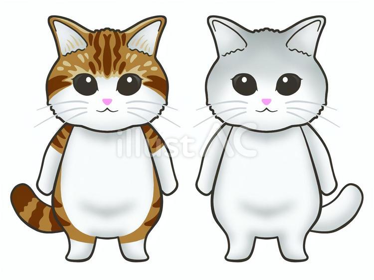 ２匹の猫 猫,白猫,茶トラのイラスト素材