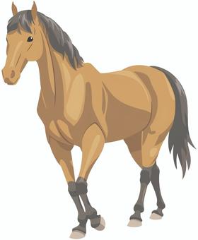 ウマ（鹿毛） 馬,リアル,鹿毛,イエウマ,動物,生き物,哺乳類,家畜,茶色のイラスト素材