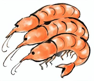 刷畫蝦, JPG 和 PNG 刷畫蝦, 手繪, 刷油漆, 日本風格, JPG 和 PNG