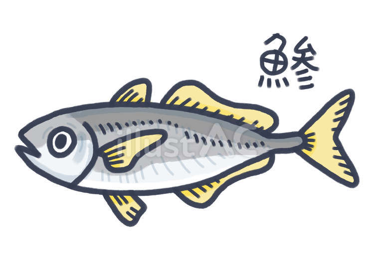 鯵 鯵,アジ,魚のイラスト素材