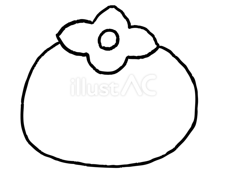 柿（線画） 柿,果物,フルーツのイラスト素材