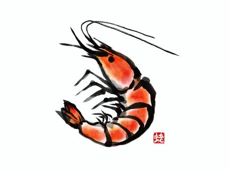 和風　海老水彩風カラーイラスト 水彩,海老,海鮮,えび,甲殻類,シュリンプ,車海老,甘エビ,甘海老,和風のイラスト素材