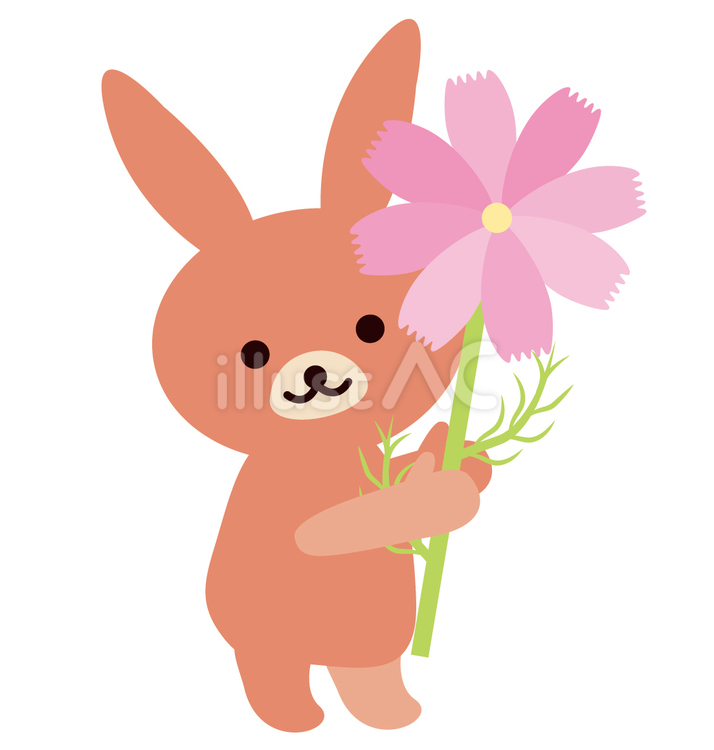 大きいコスモスを持つうさぎ コスモス,動物,うさぎのイラスト素材