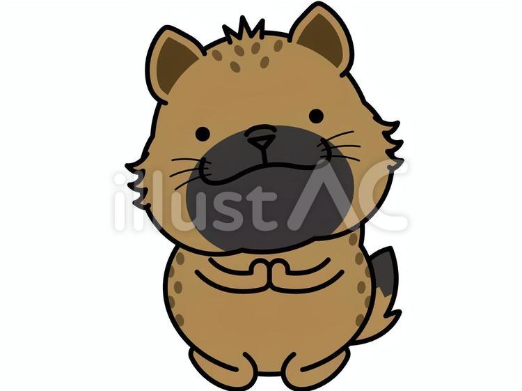 ハイエナさん 懇願 お願い,懇願,哀願のイラスト素材