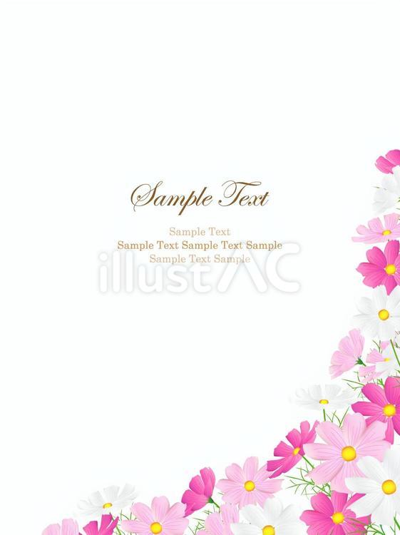 コスモスのフレーム、背景30 コスモス,秋桜,水彩のイラスト素材