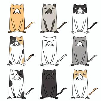ちょいぶさネコさんセット 猫,かわいい,はちわれ,三毛猫,黒猫,白猫,シャムネコ,ぶちねこ,シンプルのイラスト素材