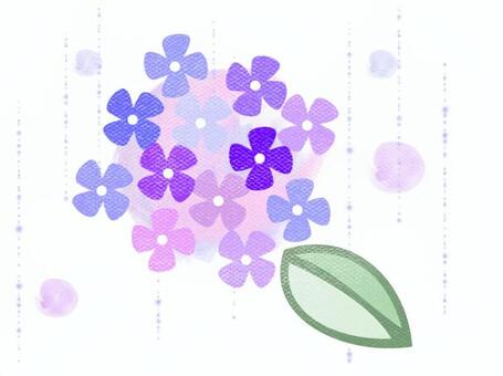 あじさい 雨 あじさい 雨 紫陽花,あじさい,花のイラスト素材