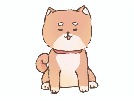 お座りするしば犬 犬,日本犬,しば犬,お座り,かわいいのイラスト素材