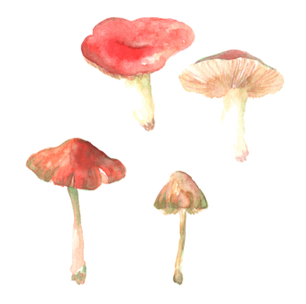 赤いきのこの水彩画イラストセット
