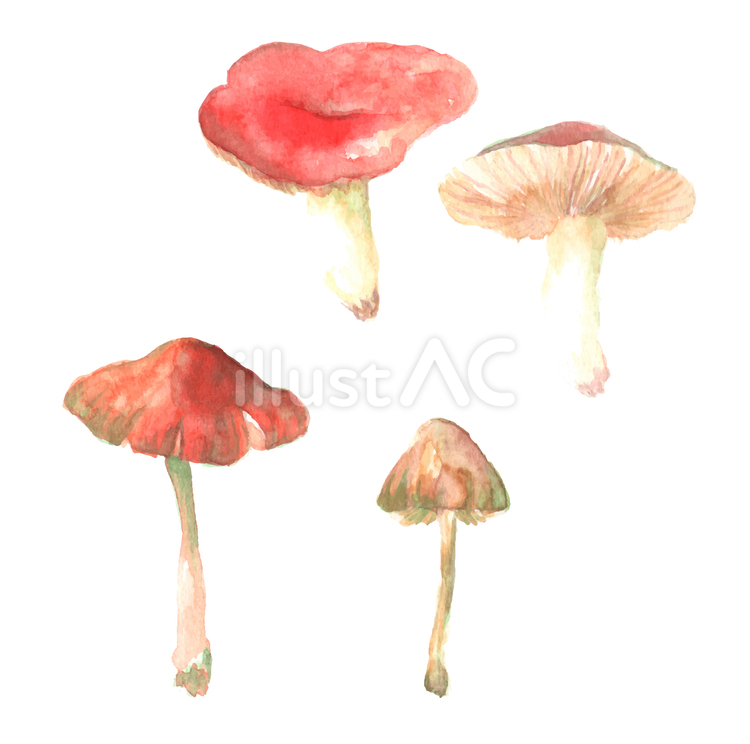 赤いきのこの水彩画イラストセット きのこ,赤い,キノコのイラスト素材