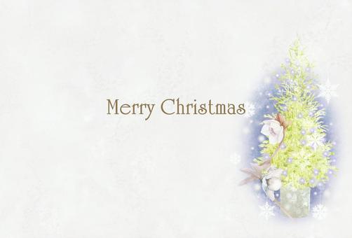 クリスマスローズとモミの木の絵はがき クリスマスローズとモミの木の絵はがき クリスマス,クリスマスツリー,12月,冬,植物,もみ,木,イラスト,手描き,水彩のイラスト素材