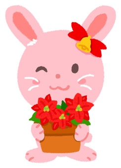 ポインセチアの鉢植えを持った可愛いうさぎ ポインセチアの鉢植えを持った可愛いうさぎ ポインセチア,うさぎ,花,クリスマス,植木鉢,持つ,クリスマスイブ,飾り,12月,冬のイラスト素材