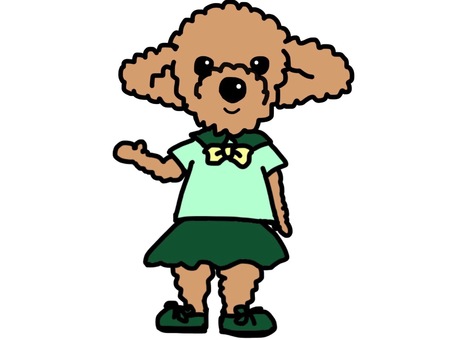 guide toy poodle 1, dog, toy poodle, guide, JPG and PNG