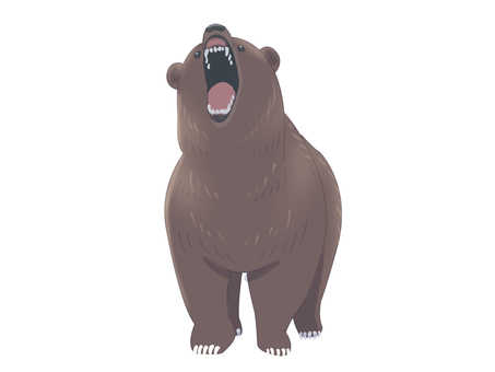 ヒグマ（威嚇・主線なし） ヒグマ,クマ,動物,茶色,威嚇,主線なしのイラスト素材