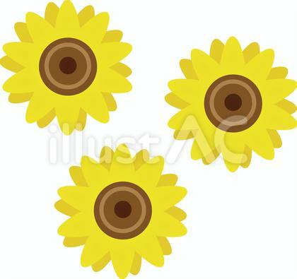 ひまわりの花