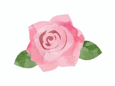 ピンクのバラ（水彩風）６ バラ,水彩風,ピンク,淡い,紫みの,赤,薔薇,綺麗,花,葉のイラスト素材