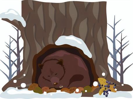 木の穴で冬眠する熊 熊,冬ごもり,冬,冬眠,寝る,眠る,実,ツキノワグマ,ヒグマ,洞穴のイラスト素材