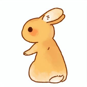 Rabbit, , JPG and PNG