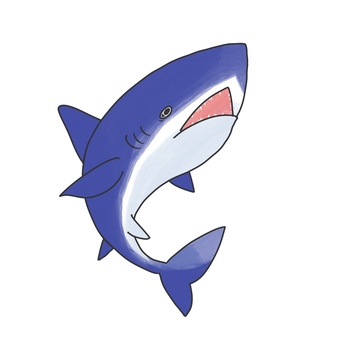 shark, , JPG and PNG