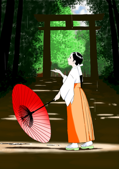 雨上がりの巫女 雨上がり,和傘,木漏れ日,巫女,神社,鳥居のイラスト素材