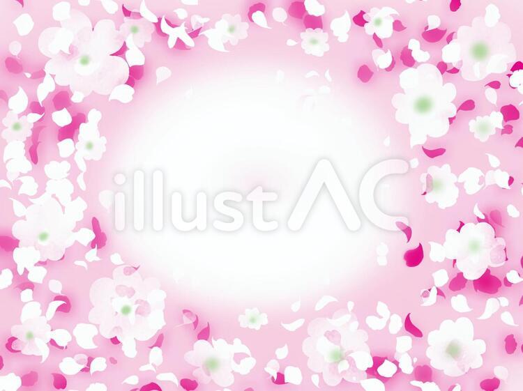 白い花ピンクの風 花,花びら,フレームのイラスト素材
