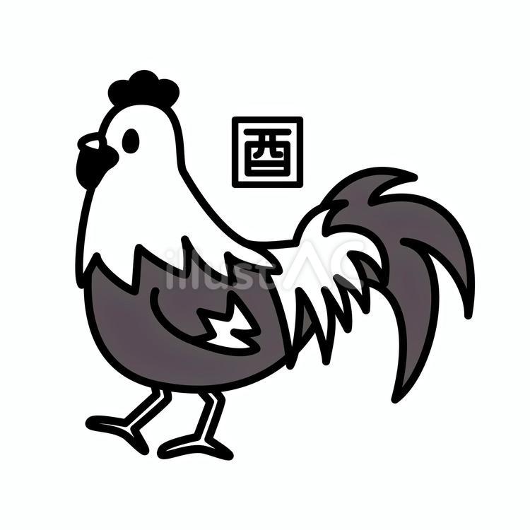 干支のトリ　白黒 干支,白黒,酉年のイラスト素材