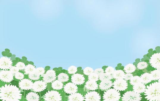 Illustration, white clover, spring, leaf, 