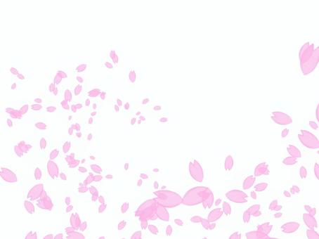 Cherry blossom petals swirling bluish pink, cherry blossoms, spring, pink, JPG and PNG