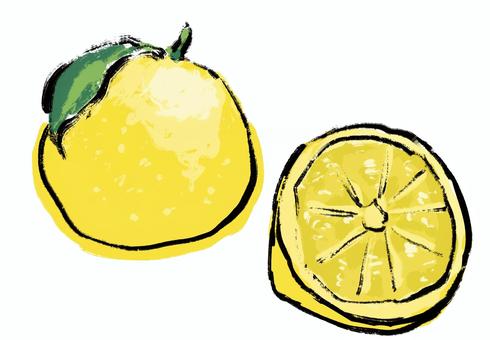 ゆず・筆ペン ゆず,筆書き,筆ペン,カットイラスト,果実,柚子,冬,柚子酎ハイ,柑橘類,柑橘系のイラスト素材