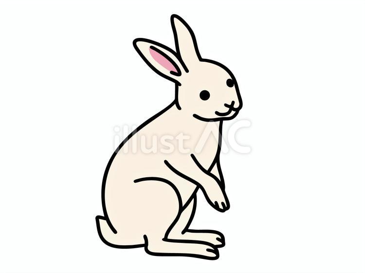 立ち姿のうさぎ（ホワイト） うさぎ,ミニうさぎ,ネザーランドドワーフのイラスト素材