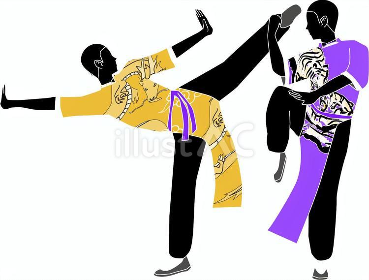 格闘技 格闘技,武術,龍のイラスト素材