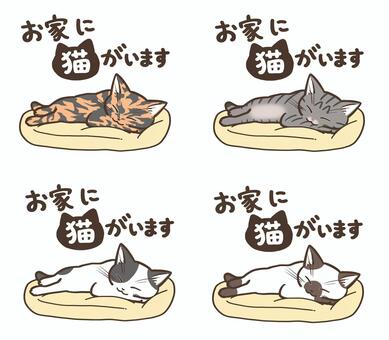 お家に猫がいます 猫,かわいい,寝る,全身,動物,留守番,文字,サビ猫,キジトラ,白黒猫のイラスト素材