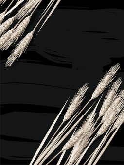 小麦色の麦穂と板の背景5　mugi009 麦穂,小麦色,リアル,ナチュラル,お洒落,自然,植物,大人っぽい,枠,背景のイラスト素材