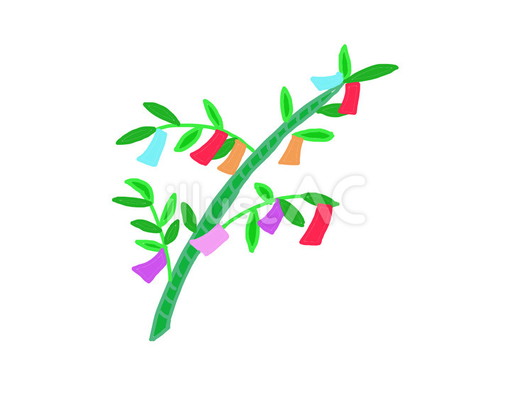 七夕 短冊,笹,竹のイラスト素材