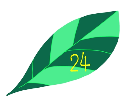 葉　24 葉,24,開運数字,新緑,自然,植物,森,林,緑のイラスト素材