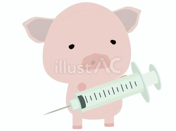注射器_豚 注射器,ブタ,動物のイラスト素材