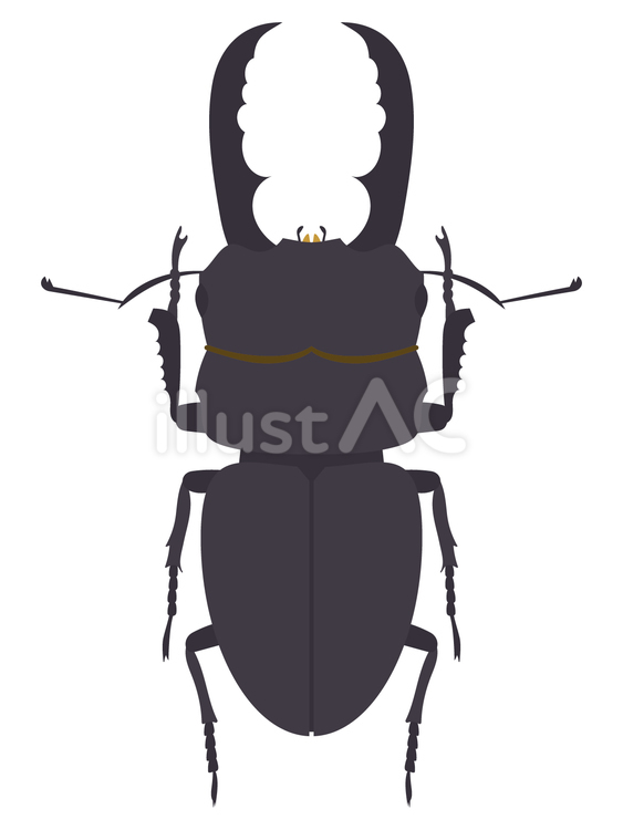 ヒラタクワガタ ヒラタクワガタ,クワガタ,虫のイラスト素材