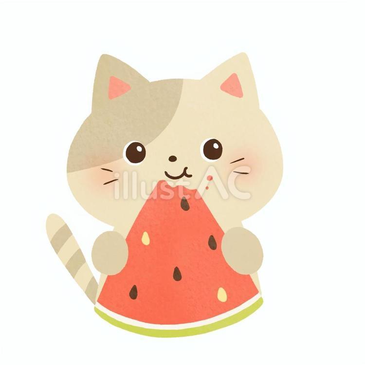 猫とスイカ スイカ,猫,夏のイラスト素材